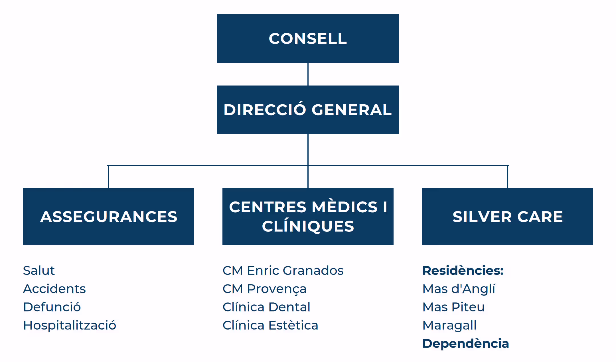 Organigrama del grupo Atlantida con secciones de consejo, dirección general, assegurances, centros médicos y clínicas, y Silver Care.
